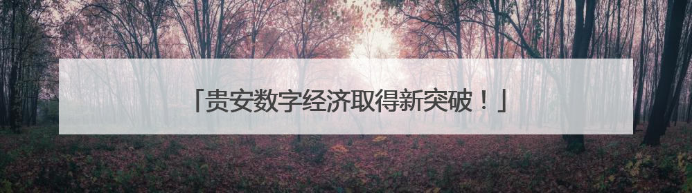 贵安数字经济取得新突破！