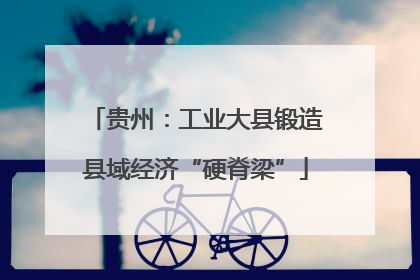 贵州：工业大县锻造县域经济“硬脊梁”