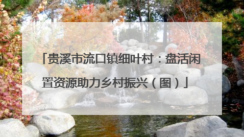 贵溪市流口镇细叶村：盘活闲置资源助力乡村振兴（图）