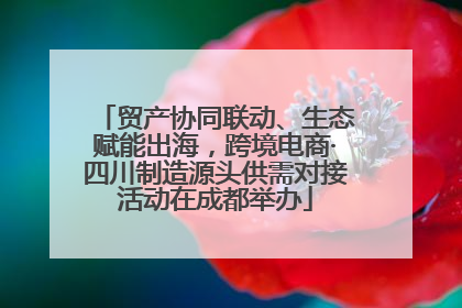 贸产协同联动、生态赋能出海，跨境电商·四川制造源头供需对接活动在成都举办