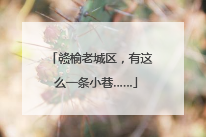 赣榆老城区，有这么一条小巷……