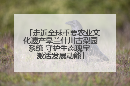 走近全球重要农业文化遗产皋兰什川古梨园系统 守护生态瑰宝 激活发展动能