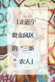 走近宁夏金凤区的“三新”农人