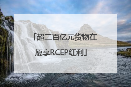 超三百亿元货物在厦享RCEP红利