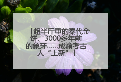 超半斤重的秦代金饼、3000多年前的象牙……成渝考古人“上新”