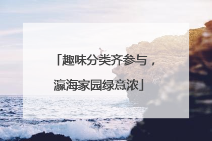 趣味分类齐参与，瀛海家园绿意浓