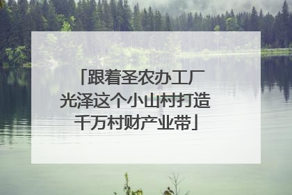 跟着圣农办工厂 光泽这个小山村打造千万村财产业带