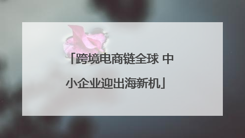 跨境电商链全球 中小企业迎出海新机