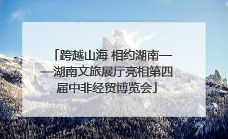 跨越山海 相约湖南——湖南文旅展厅亮相第四届中非经贸博览会