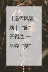 送考风景线｜“旗”开得胜 一举夺“葵”