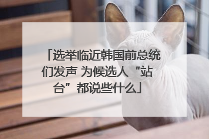 选举临近韩国前总统们发声 为候选人“站台”都说些什么