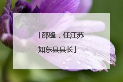 邵锋，任江苏如东县县长