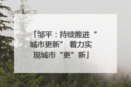 邹平：持续推进“城市更新” 着力实现城市“更”新