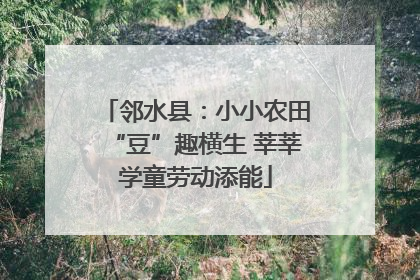 邻水县：小小农田“豆”趣横生 莘莘学童劳动添能