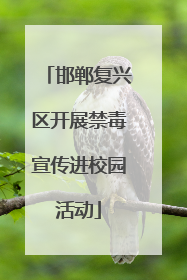 邯郸复兴区开展禁毒宣传进校园活动