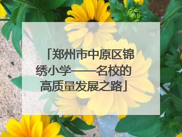 郑州市中原区锦绣小学——名校的高质量发展之路