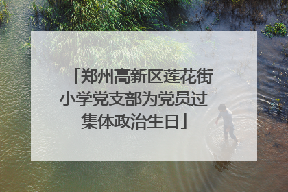 郑州高新区莲花街小学党支部为党员过集体政治生日