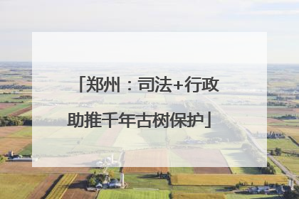 郑州：司法+行政助推千年古树保护