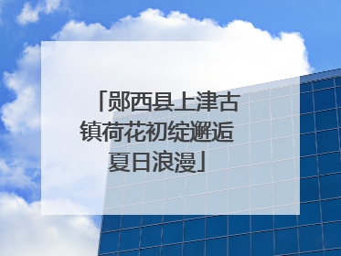 郧西县上津古镇荷花初绽邂逅夏日浪漫