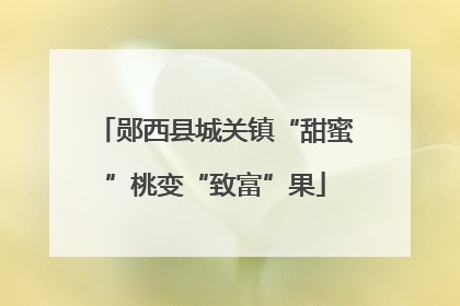 郧西县城关镇“甜蜜”桃变“致富”果