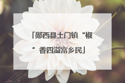 郧西县土门镇“椒”香四溢富乡民