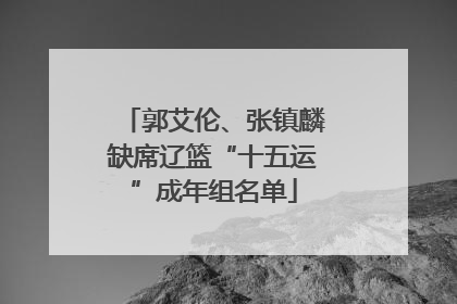 郭艾伦、张镇麟缺席辽篮“十五运”成年组名单