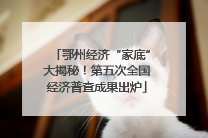 鄂州经济“家底”大揭秘！第五次全国经济普查成果出炉