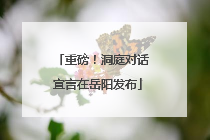 重磅！洞庭对话宣言在岳阳发布