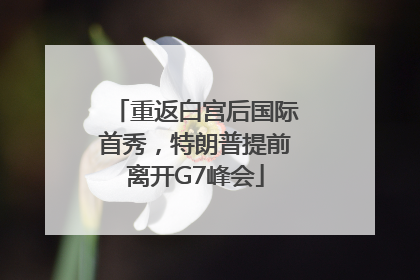 重返白宫后国际首秀，特朗普提前离开G7峰会