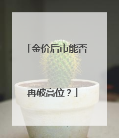 金价后市能否再破高位？