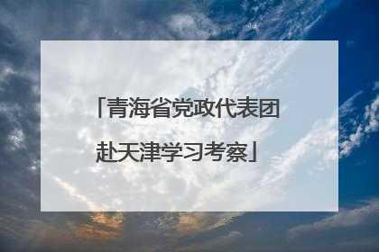 青海省党政代表团赴天津学习考察