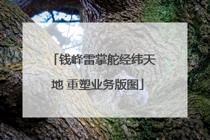 钱峰雷掌舵经纬天地 重塑业务版图