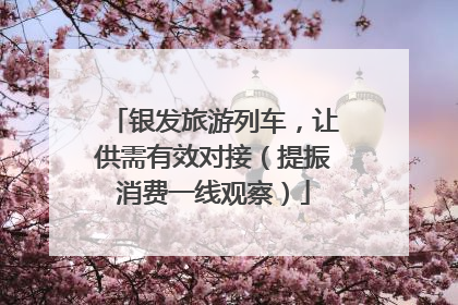 银发旅游列车，让供需有效对接（提振消费一线观察）
