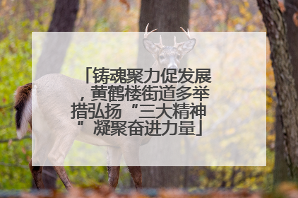 铸魂聚力促发展，黄鹤楼街道多举措弘扬“三大精神”凝聚奋进力量