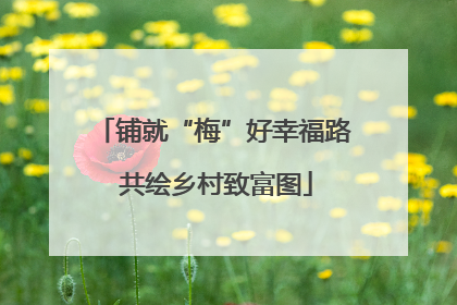铺就“梅”好幸福路 共绘乡村致富图