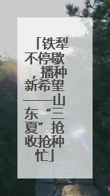 铁犁不停歇，播种新希望——山东“三夏”抢收抢种忙
