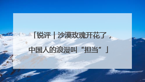 锐评｜沙漠玫瑰开花了，中国人的浪漫叫“担当”
