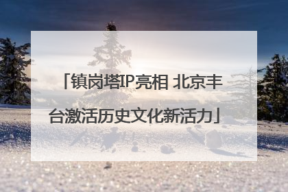 镇岗塔IP亮相 北京丰台激活历史文化新活力