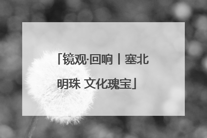 镜观·回响丨塞北明珠 文化瑰宝