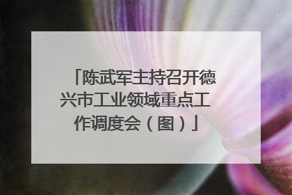 陈武军主持召开德兴市工业领域重点工作调度会（图）