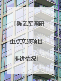 陈武军调研重点文旅项目推进情况