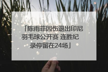 陈雨菲因伤退出印尼羽毛球公开赛 连胜纪录停留在24场