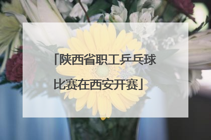 陕西省职工乒乓球比赛在西安开赛
