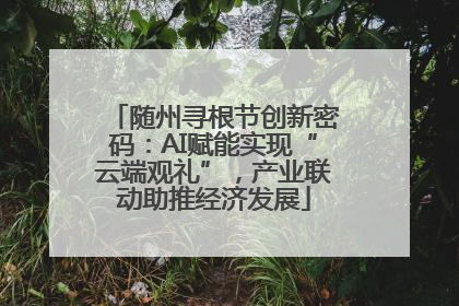 随州寻根节创新密码：AI赋能实现“云端观礼”，产业联动助推经济发展