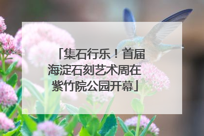 集石行乐！首届海淀石刻艺术周在紫竹院公园开幕