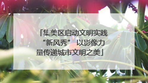 集美区启动文明实践“新风秀” 以影像力量传递城市文明之美