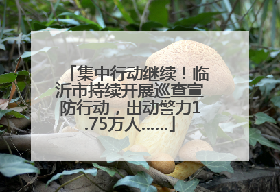 集中行动继续！临沂市持续开展巡查宣防行动，出动警力1.75万人……