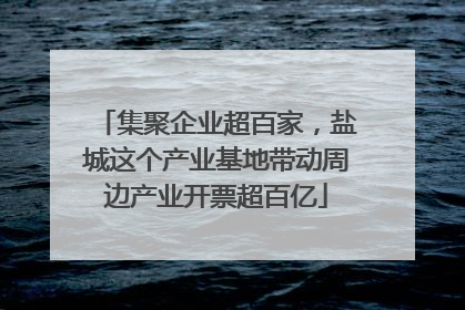 集聚企业超百家，盐城这个产业基地带动周边产业开票超百亿