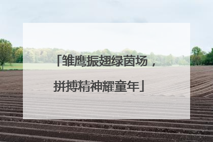 雏鹰振翅绿茵场，拼搏精神耀童年
