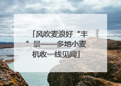 风吹麦浪好“丰”景——多地小麦机收一线见闻